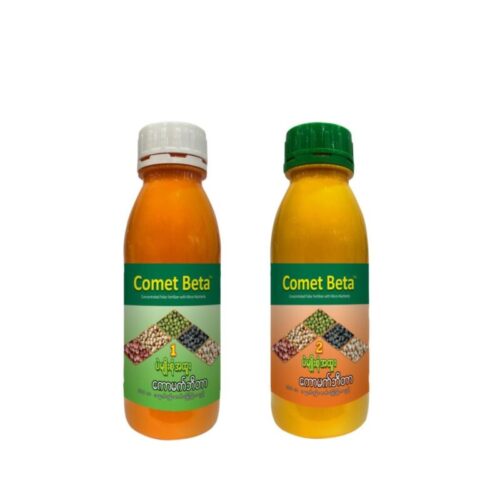 Comet-Beta