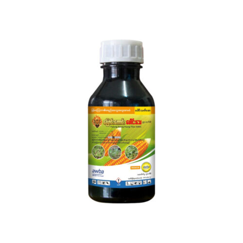 pyaungkaungpaungthay