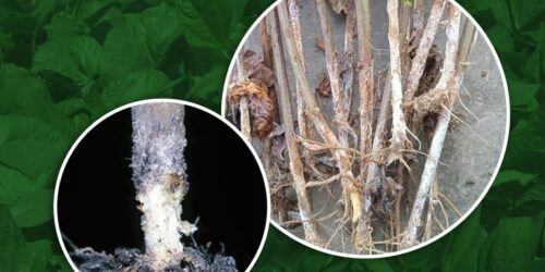 393727041_702897658535898_3722480814462597119_n