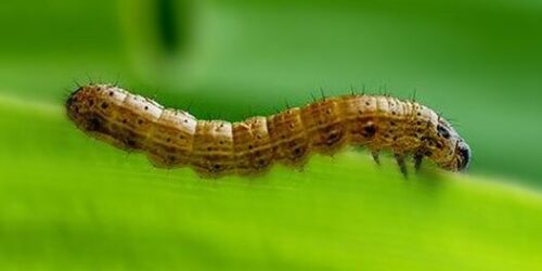 440343310_820610050097991_8097811705582672402_n