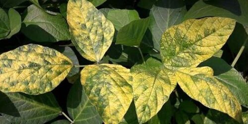 441337869_823892733103056_5440975437916273155_n