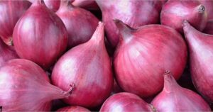 Onion