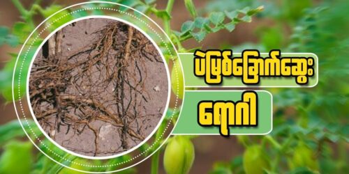 246720856_4481757608551345_4979894476760798938_n