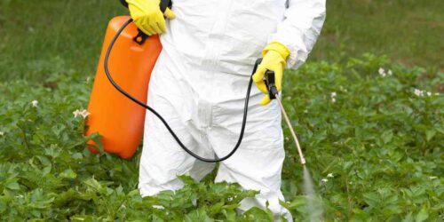 ပေါင်းသတ်ဆေး