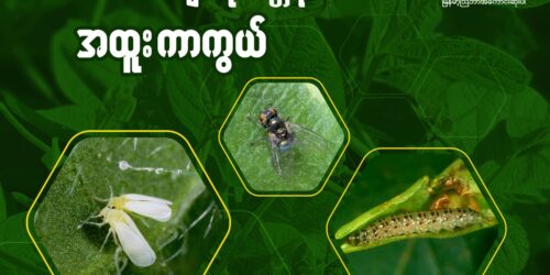 376840133_681794757312855_2380255512358106860_n