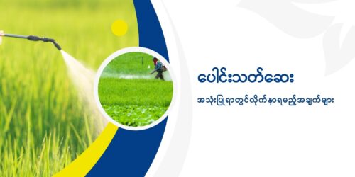 ပေါင်းသတ်ဆေး