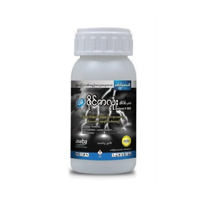 ဇိုင်ကလုံး