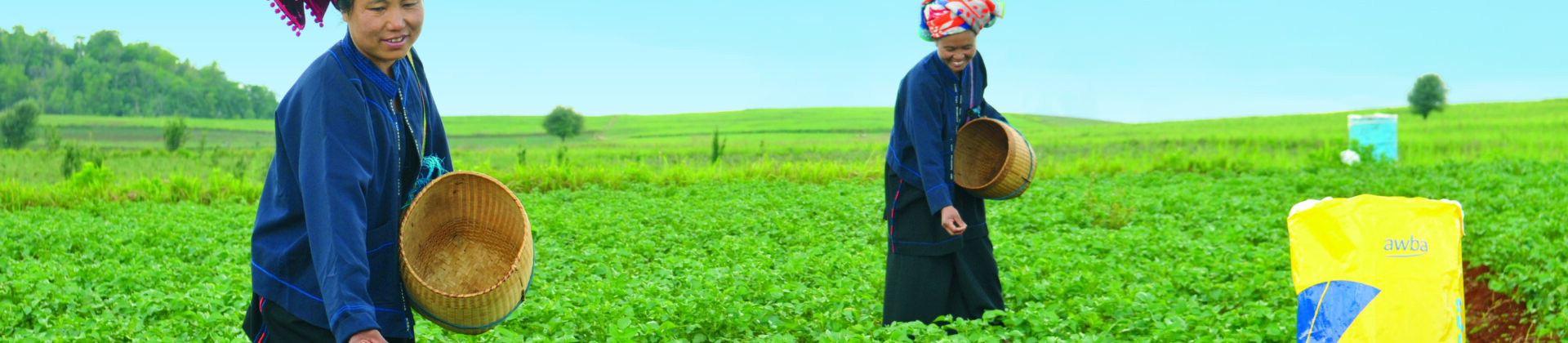 မြေဩဇာများ