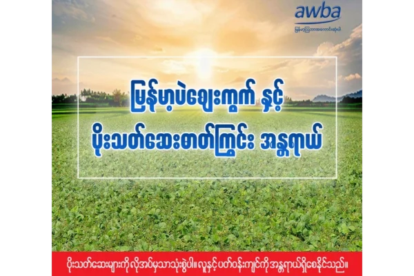 မြန်မာ့ပဲဈေးကွက်နှင့် ပိုးသတ်ဆေးဓာတ်ကြွင်း အန္တရာယ်