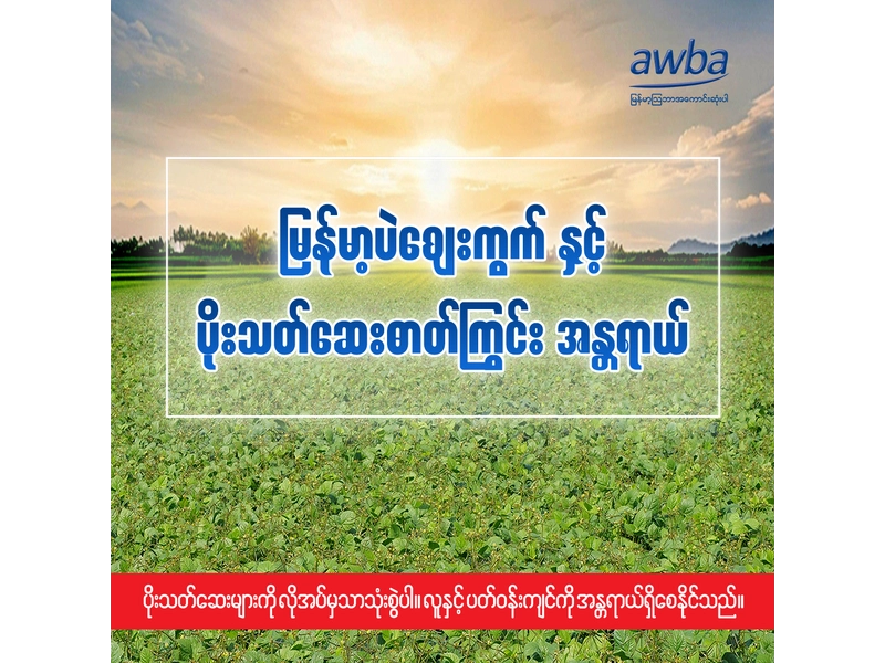 မြန်မာ့ပဲဈေးကွက်နှင့် ပိုးသတ်ဆေးဓာတ်ကြွင်း အန္တရာယ်