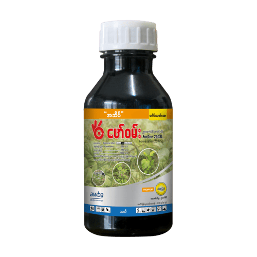 ဖော်ဝမ်း