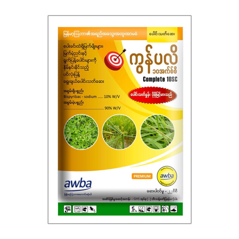 ကွန်ပလိ