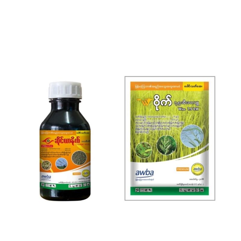 ဆိုင်ယာနိုက် + ဝိုက်