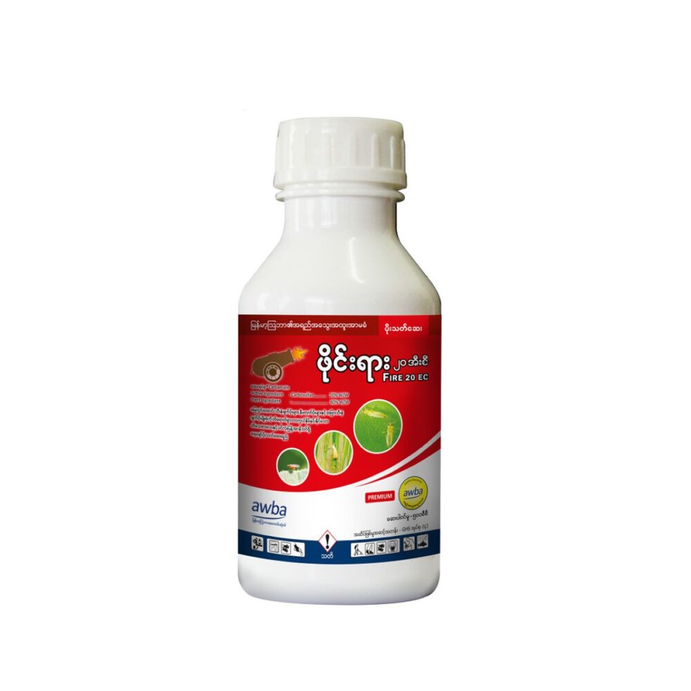 ဖိုင်းရား