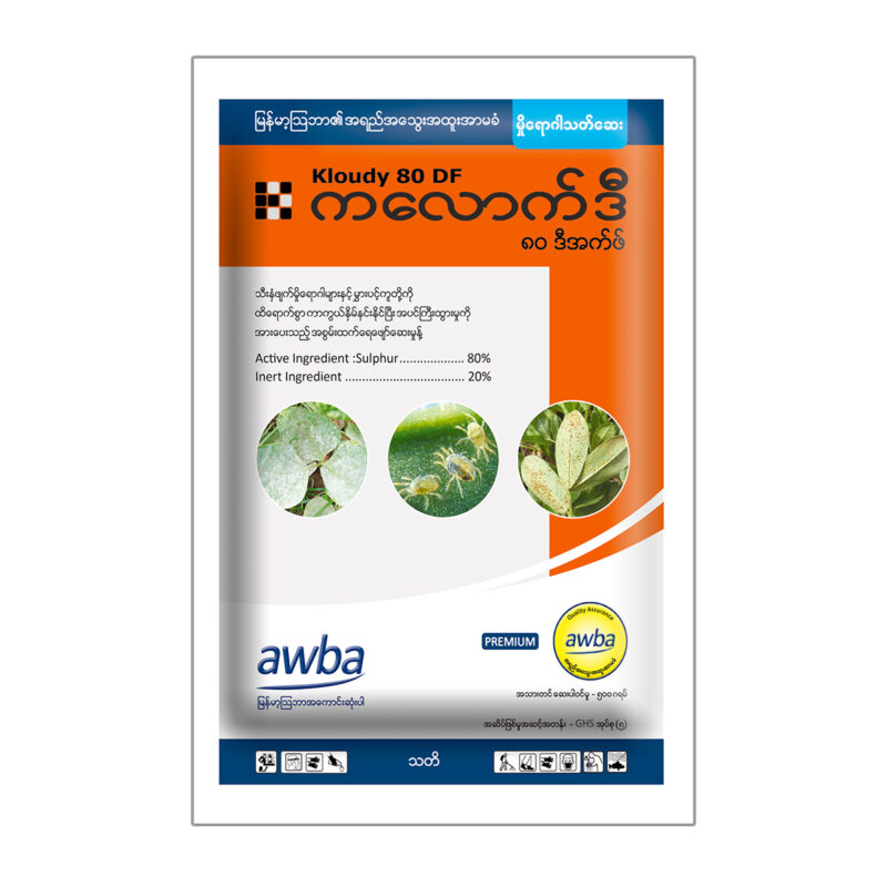 ကလောက်ဒီ