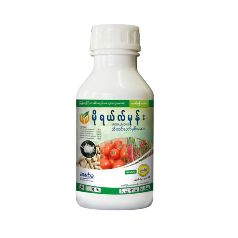 မိုရယ်လ်မုန်း