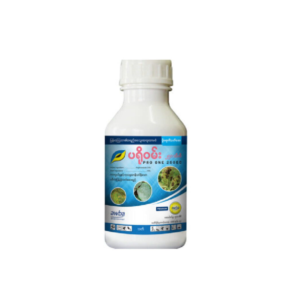 ပရိုဝမ်း