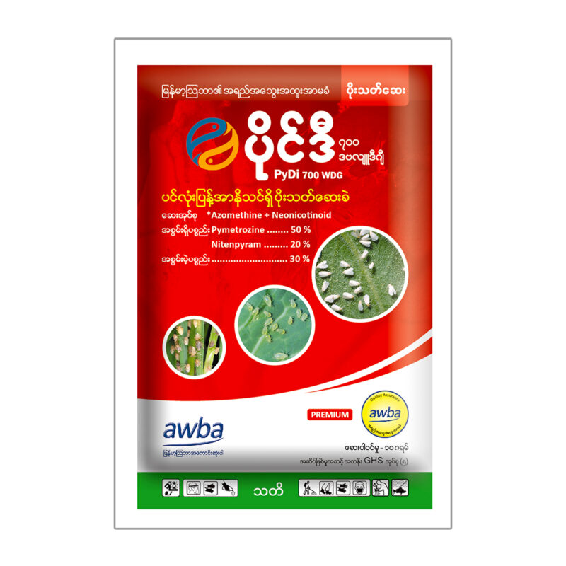 ပိုင်ဒီ