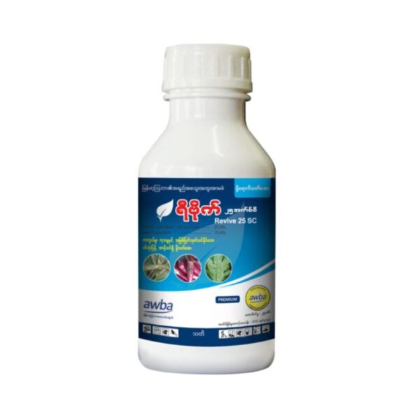 ရီဗိုက်