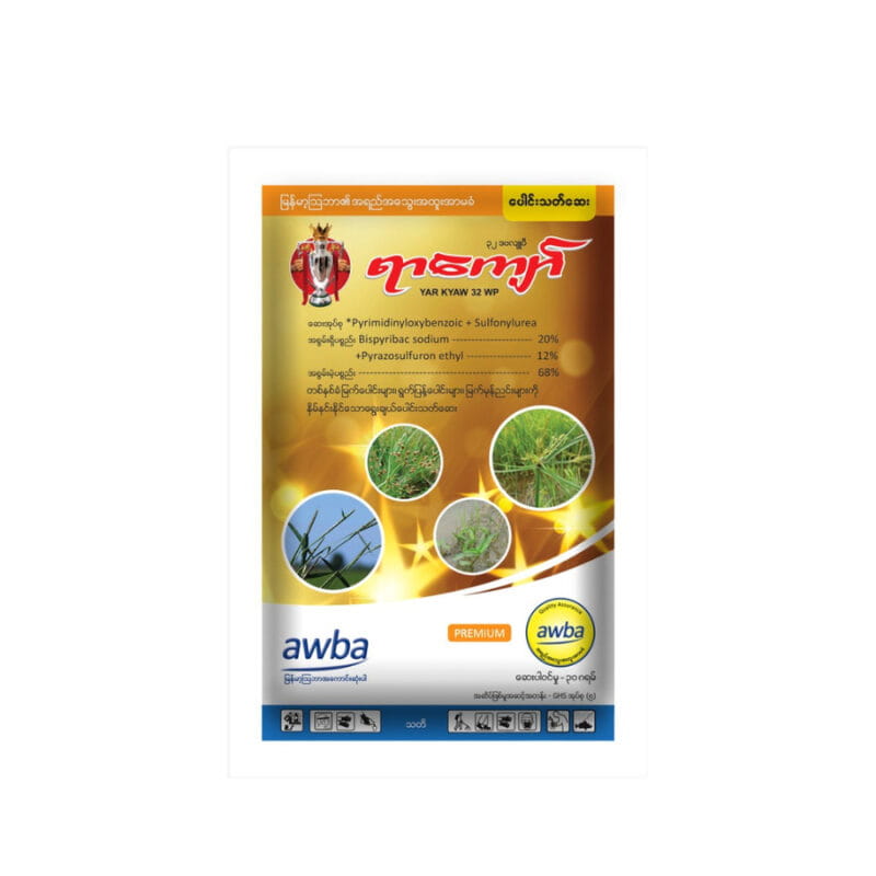 ရာကျော်