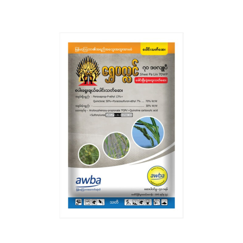 ရွှေပလ္လင်